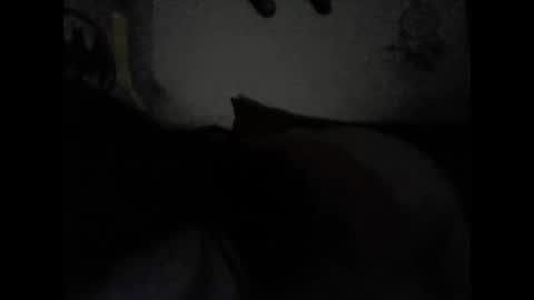 Valeria online show from 15, 2, 2025