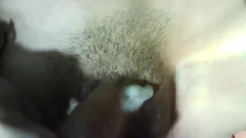 Vale 123 online show from 28, 12, 2024