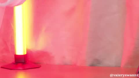 Valery swan1 online show from 24, 9, 2025