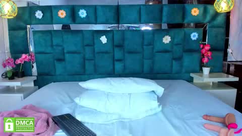 Snapshot of valtira_nova chatting on 11, 1, 2026 valtira nova online show from 11, 1, 2026