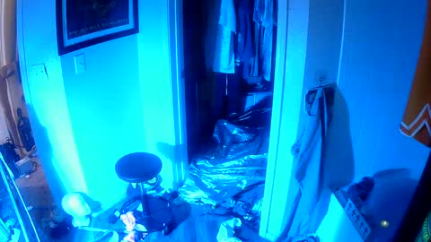 vegasmd online show from 4, 2, 2025