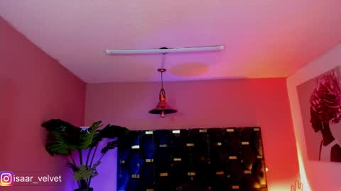Snapshot of velvet_dreams_ chatting on 9, 4, 2026 Isabella online show from 9, 4, 2026
