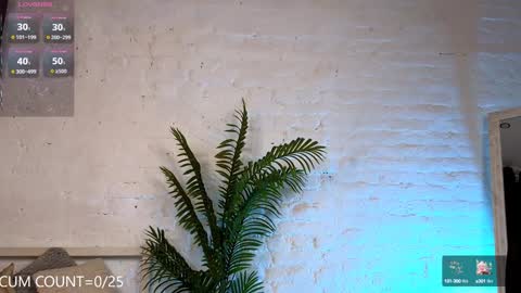 CLEOshort hair  TIna long hair  online show from 4, 2, 2025