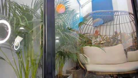 Snapshot of venus_flame chatting on 20, 11, 2025 VENUS online show from 20, 11, 2025