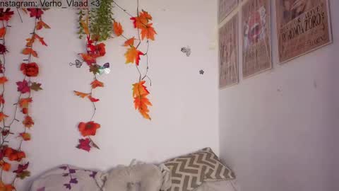 Verho  online show from 29, 10, 2025