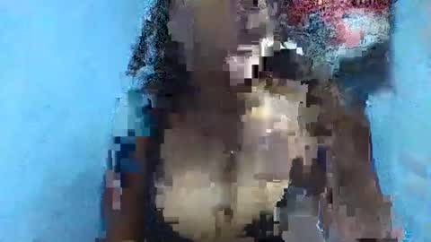 verolla31 online show from 2, 2, 2025