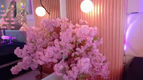 veronica_hill_ online show from 13, 5, 2026