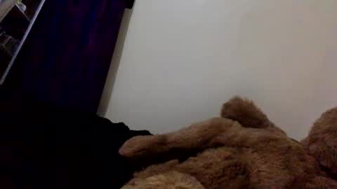 DarkBerryBliss online show from 13, 4, 2026