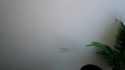 Snapshot of veryveryshygirl chatting on 5, 2, 2026 Ana online show from 5, 2, 2026