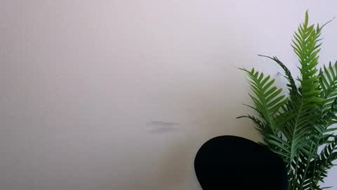 Ana online show from 12, 3, 2026