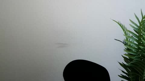 Snapshot of veryveryshygirl chatting on 24, 5, 2026 Ana online show from 24, 5, 2026