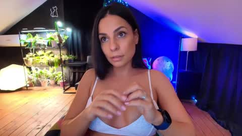 vevelicious online show from 7, 11, 2025