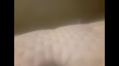 vic171477 online show from 1, 2, 2026