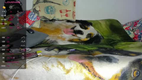 vicky manuela online show from 29, 1, 2025