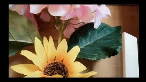 Snapshot of vickyvalencia2 chatting on 4, 5, 2026 vickyvalencia2 online show from 4, 5, 2026