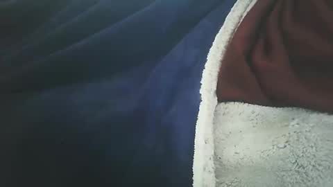 vicvictoree online show from 11, 2, 2026