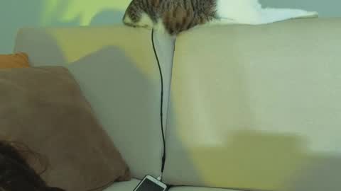 Snapshot of viiolet_collins chatting on 27, 5, 2026 VIOLET online show from 27, 5, 2026