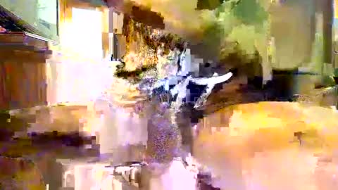 viizin online show from 23, 2, 2025