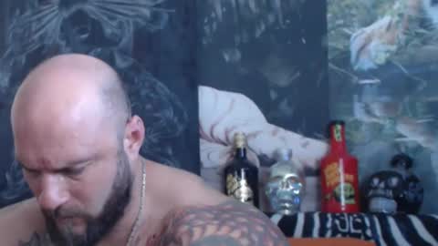 viking online show from 12, 5, 2026