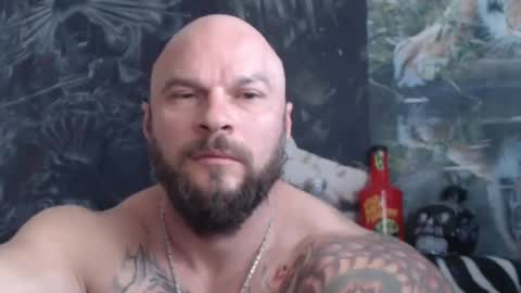 viking online show from 20, 5, 2026