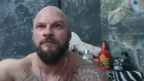 viking online show from 20, 5, 2026