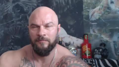 viking online show from 21, 5, 2026
