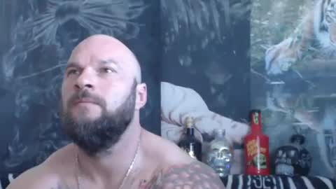 viking online show from 29, 5, 2026