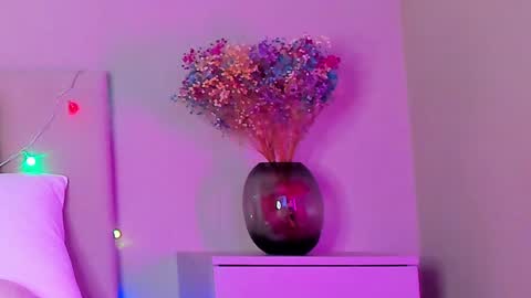 Snapshot of vikkilustfull chatting on 25, 1, 2025 VIKKI online show from 25, 1, 2025