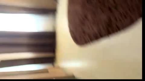 viktoriya_kreyzi online show from 31, 5, 2026