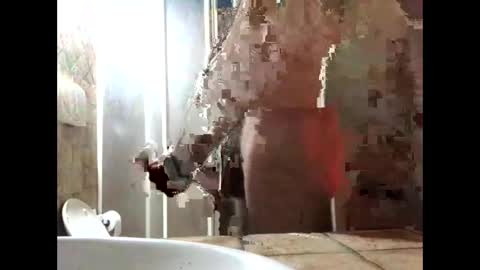 Snapshot of vinmin90 chatting on 19, 3, 2026 Zenith online show from 19, 3, 2026