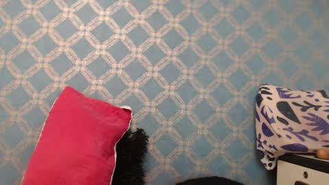 Violeta  online show from 10, 1, 2025