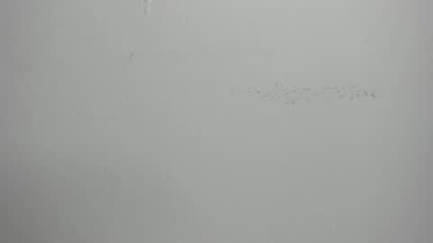 violett_24_ online show from 1, 3, 2025