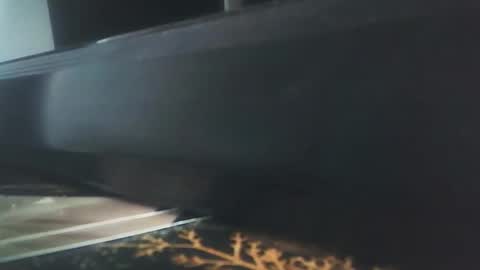 vip_90_daniele online show from 17, 12, 2025