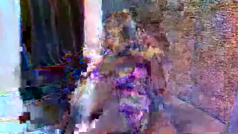 Ashley online show from 30, 5, 2026