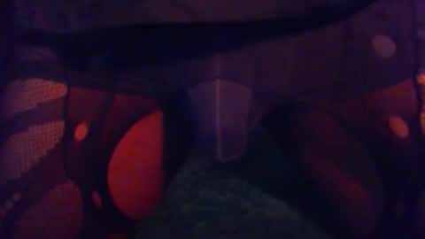 vitaminhard58 online show from 11, 2, 2026