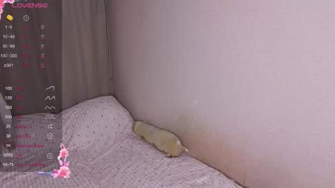 vitterrick online show from 25, 11, 2025