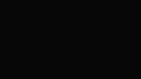 Vivian online show from 21, 12, 2024