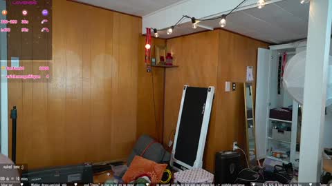 Whitney online show from 2, 3, 2026