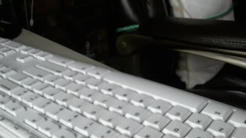 Snapshot of vnpg92 chatting on 13, 12, 2025 vnpg92 online show from 13, 12, 2025