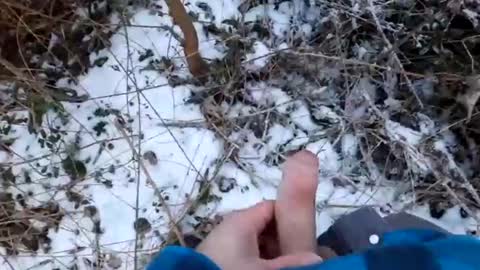 mcfly online show from 19, 2, 2025