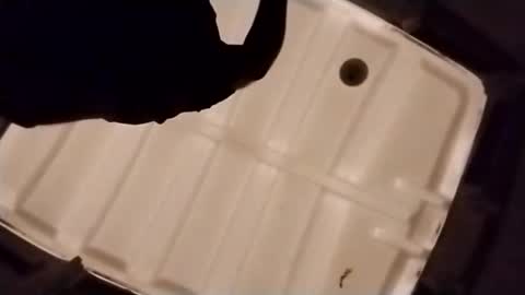 Snapshot of waffywaff77 chatting on 4, 12, 2025 waffywaff77 online show from 4, 12, 2025