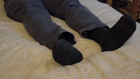 I love the ol in-n-out  online show from 15, 1, 2026