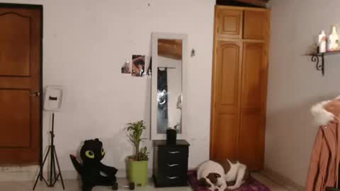 warrior_xena online show from 5, 10, 2025