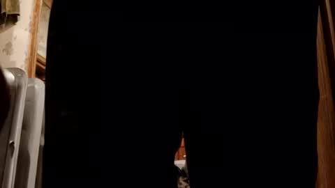 watchmecuzyouknoyouwill online show from 12, 1, 2026