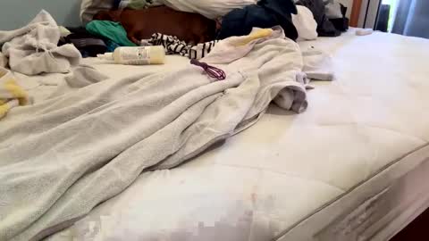 watershed111111 online show from 26, 2, 2026