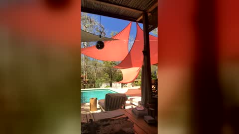 watershed111111 online show from 23, 3, 2026