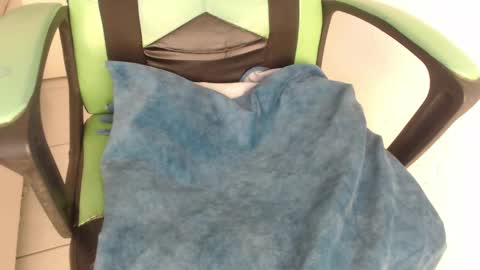 Trixie 3 online show from 25, 9, 2025