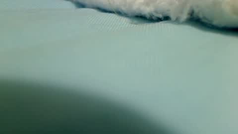 Snapshot of webbo809 chatting on 16, 3, 2026 webbo809 online show from 16, 3, 2026