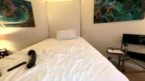 Snapshot of webcameraon chatting on 7, 3, 2026 Retainer Forever Solo Album online show from 7, 3, 2026