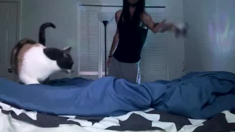 Snapshot of weedwacker43 chatting on 26, 12, 2024 weedwacker43 online show from 26, 12, 2024